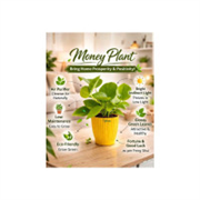 UPVAN Money Plant, Jade Plant (Hybrid, Pack of 2) [100%..